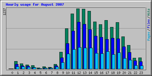 Hourly usage for August 2007