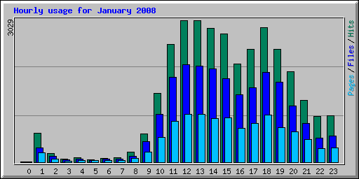 Hourly usage for January 2008